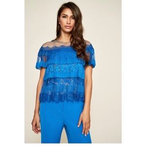 Tadashi Shoji Tristan Pleated Lace Blouse